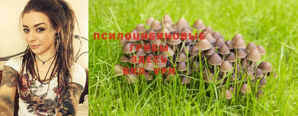 метадон Абаза