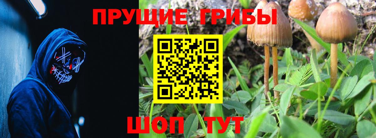 Урюпинск  Галлюциногенные грибы MAGIC MUSHROOMS  Галлюциногенные грибы прущие грибы  хочу наркоту  Вход с VPN 