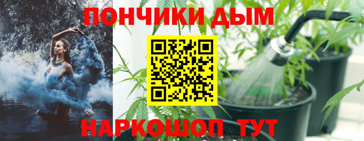 Шишки марихуана сатива Урюпинск